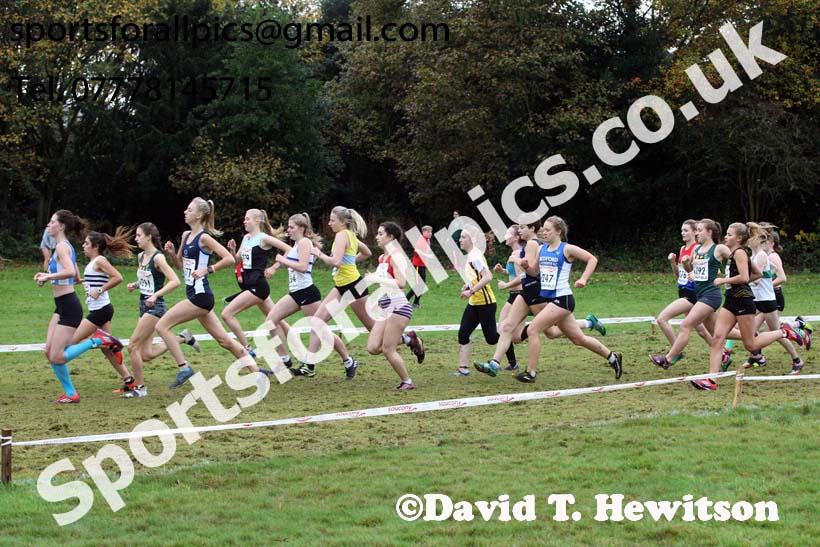 Womens junior National Cross Country Relay, Berry Hill Park, Mansfield. Photo:  David T. Hewitson/Sports for All Pics